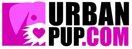 urbanpup award