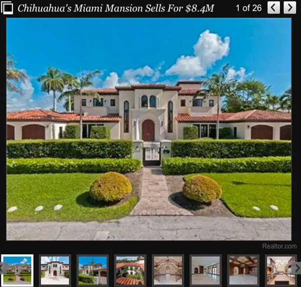 chihuahua mansion