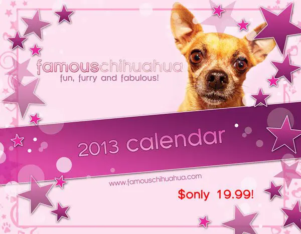 calendarcover sale