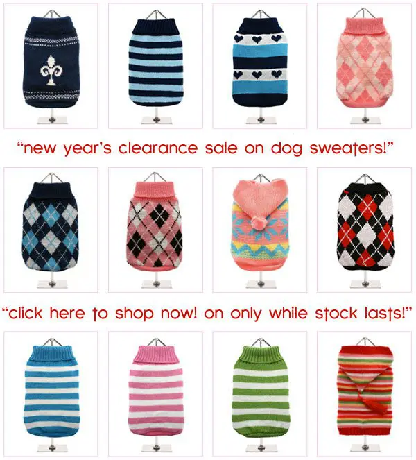 clearancesale dogsweaters