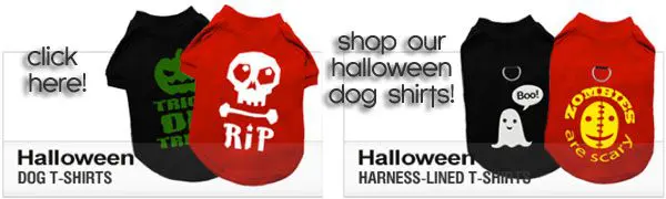 halloween dogshirts banner