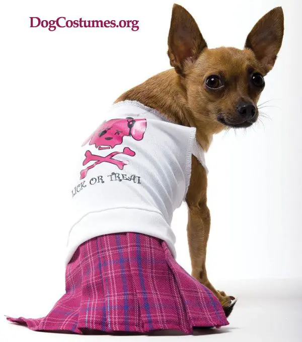 DogCostumes.org