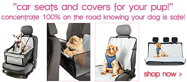 dog travel car seats