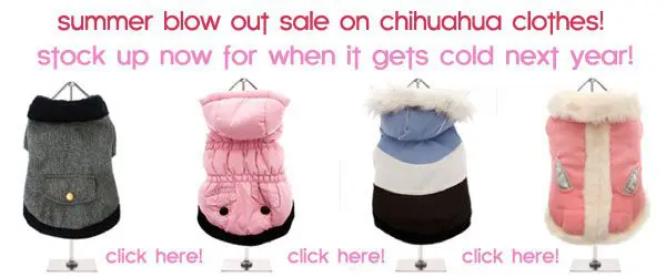 summer clearance sale chihuahua clothes 