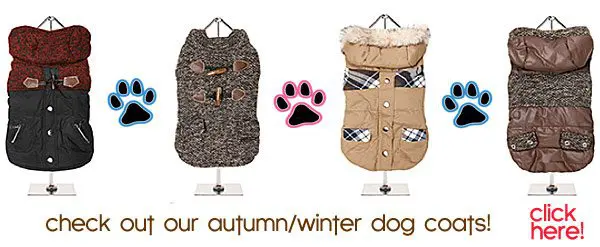 fall winter dog coats