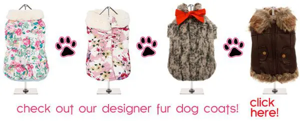 fur dogcoats designer2