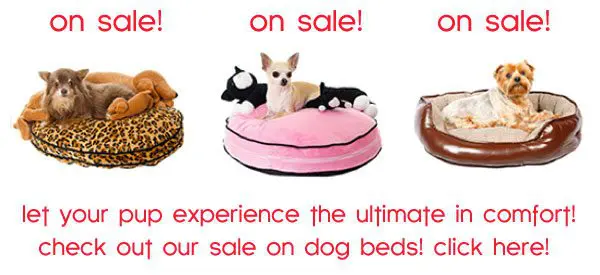 sale small dog beds