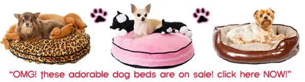 sale dogbeds