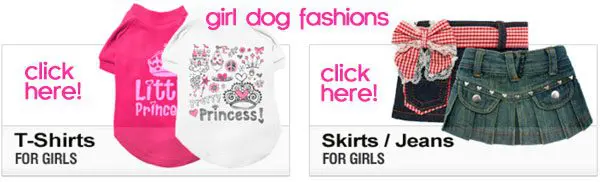 girl dog clothing