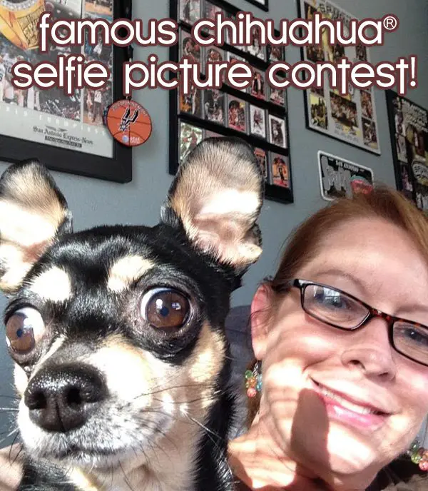 selfie contest promo