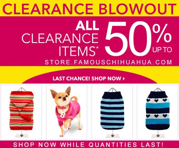 dog clothes clearance blowout sale