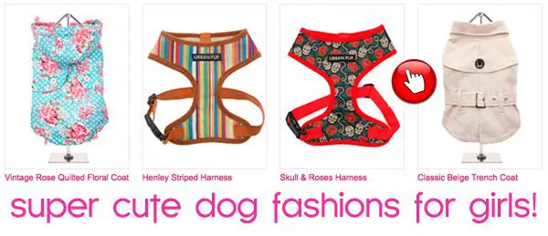 super cute dog fashions for girls!
