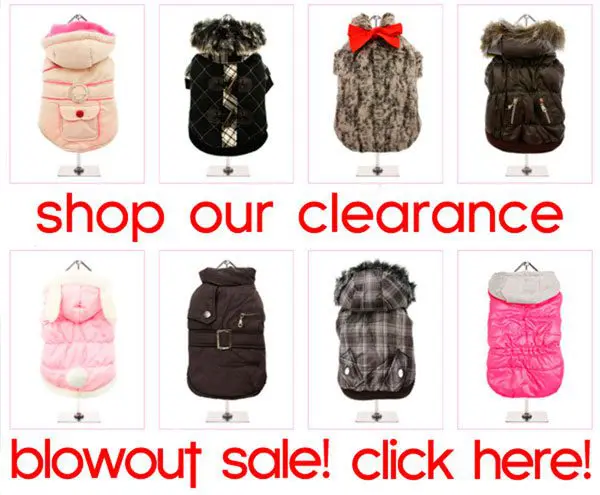 clearance sale on dog clothes for chihuahuas!