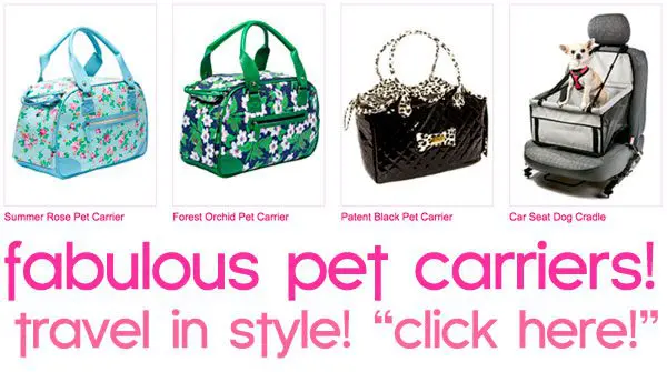 pet carriers for small dogs