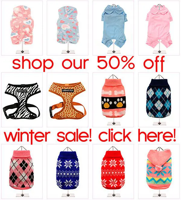clearnace sale cheap chihuahua clothes dog coats sweaters