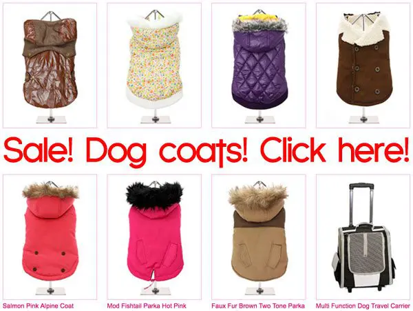 dogcoats sale 1