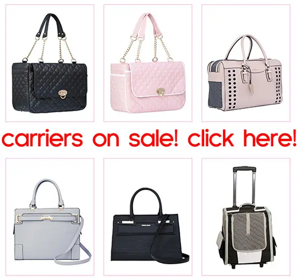 dog carriers on sale