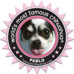 WMFC Pablo Badge