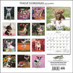 teacup chihuahua calendar