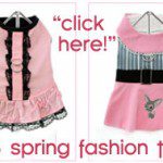 spring fashion trends