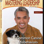 cesarmillan mastering ledership
