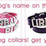 personalized dog collars