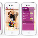 petzi app