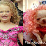 chihuahua honey booboo