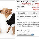 chihuahua bride dress