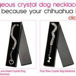 crystal dog necklaces