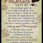 pawprints