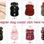 designer dogcoats