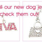 dog jewlery