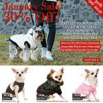 january dogclothes sale