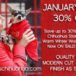 january sale fcs