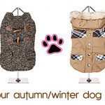 fall winter dogcoats