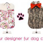 fur dogcoats designer1