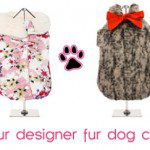 fur dogcoats designer2