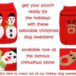 holiday doggy sweaters