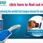 orapup dog breath brush