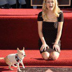 reese witherspoon walkoffame