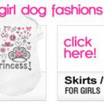 girl dog fashions