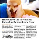 article dogsbestfriendmagazine