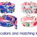 collars and leads