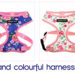 colorful harnesses