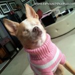 daisy pink sweater