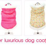 luxurious dog coats