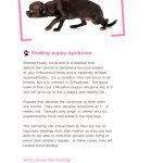 shaking puppy syndrome book