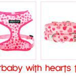 hearts dog clothes