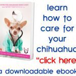chihuahua ebook
